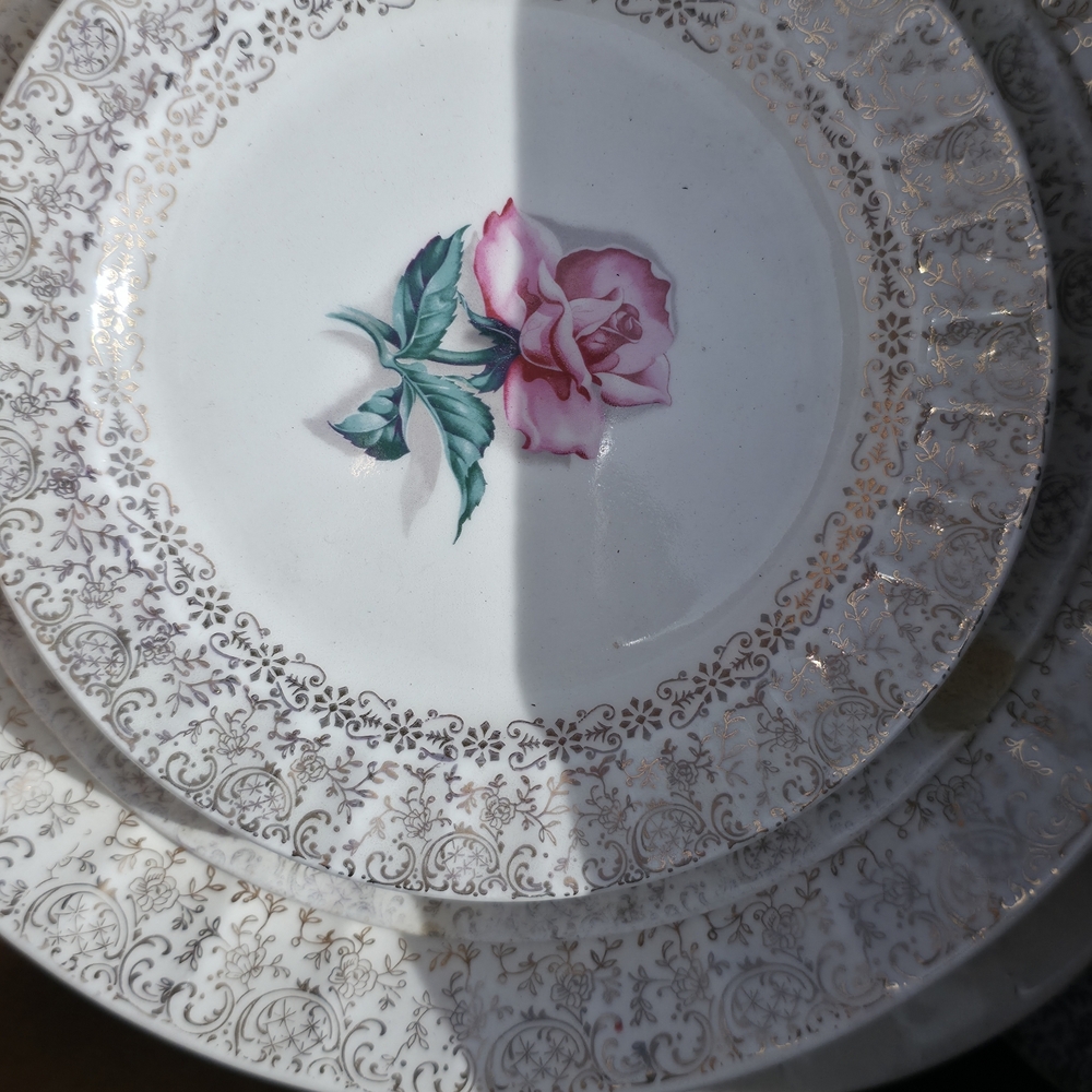 Elegant Floral Dinner Plate Set